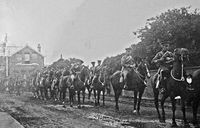 The Collection of Horses for the War