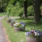 Floral Tubs