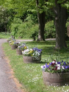 Floral Tubs