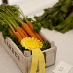 Dassett Country Show
