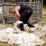 Dassett Country Show